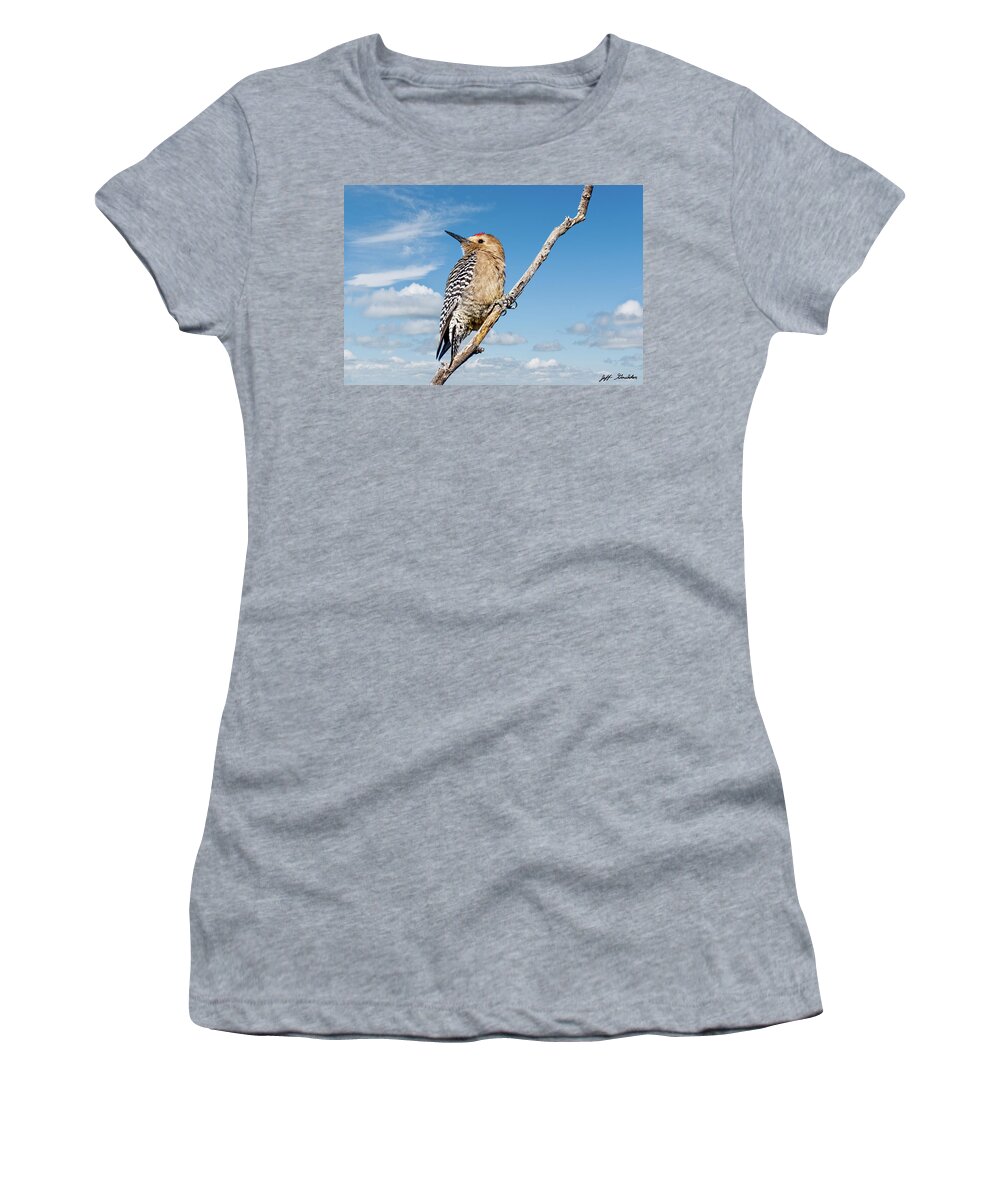 Animal Women's T-Shirt featuring the photograph Male Gila Woodpecker by Jeff Goulden
