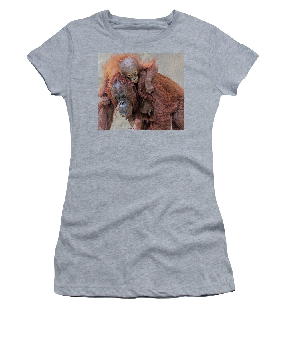Orangutan Women's T-Shirt featuring the digital art Motherhood 2 #1 by Larry Linton
