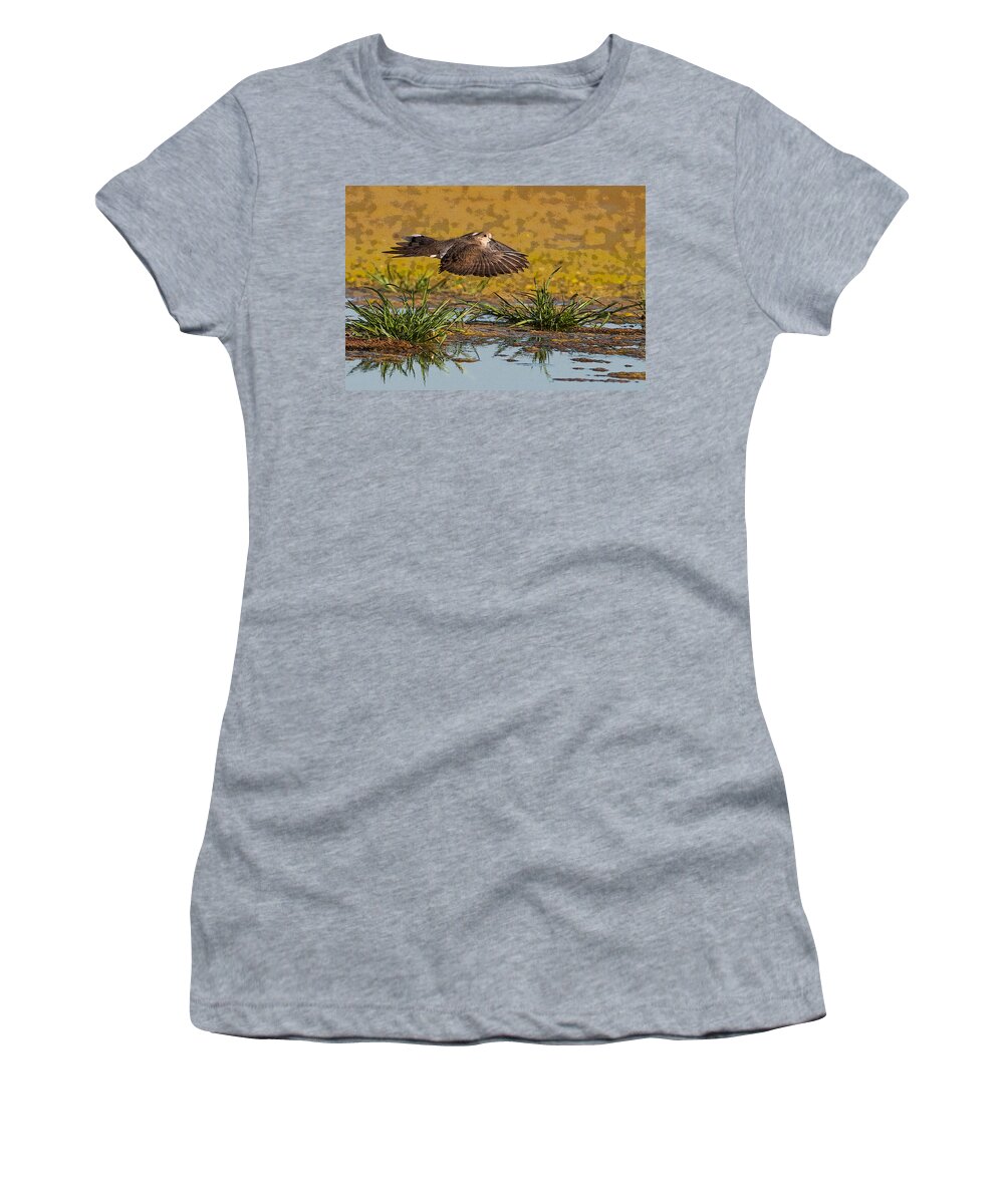 Mourning Dove Women's T-Shirt featuring the photograph Mourning Dove in Flight #1 by Tam Ryan