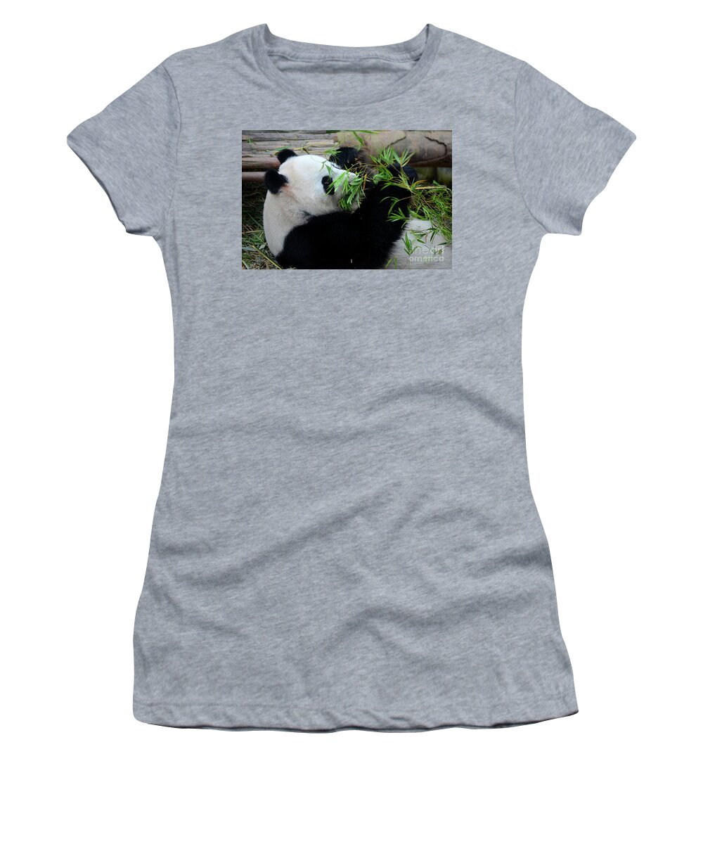 Panda Women's T-Shirt featuring the photograph Panda bear lies on back and eats green bamboo shoot plants #2 by Imran Ahmed