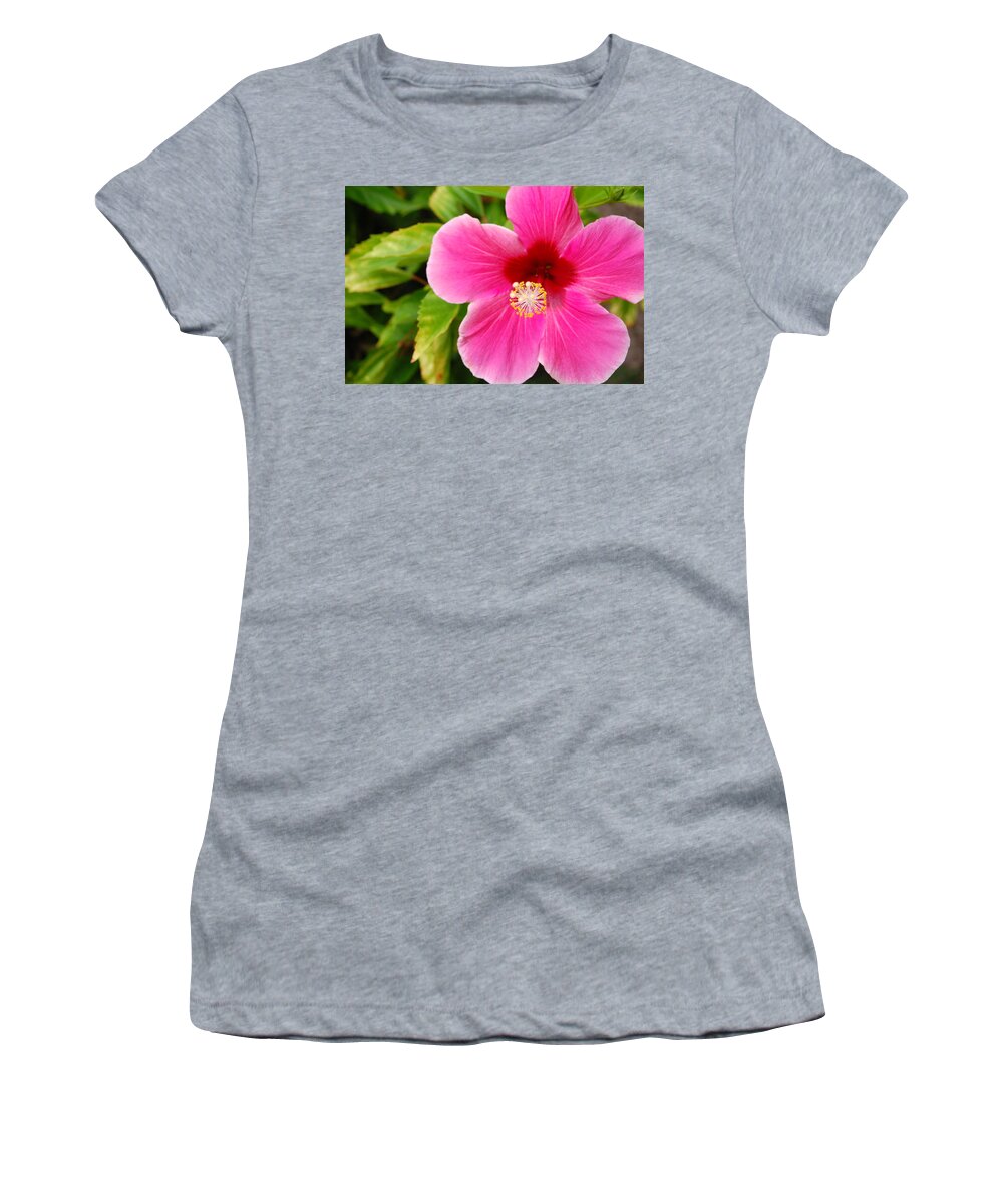 Flower Women's T-Shirt featuring the photograph Pink Hibiscus by Amy Fose