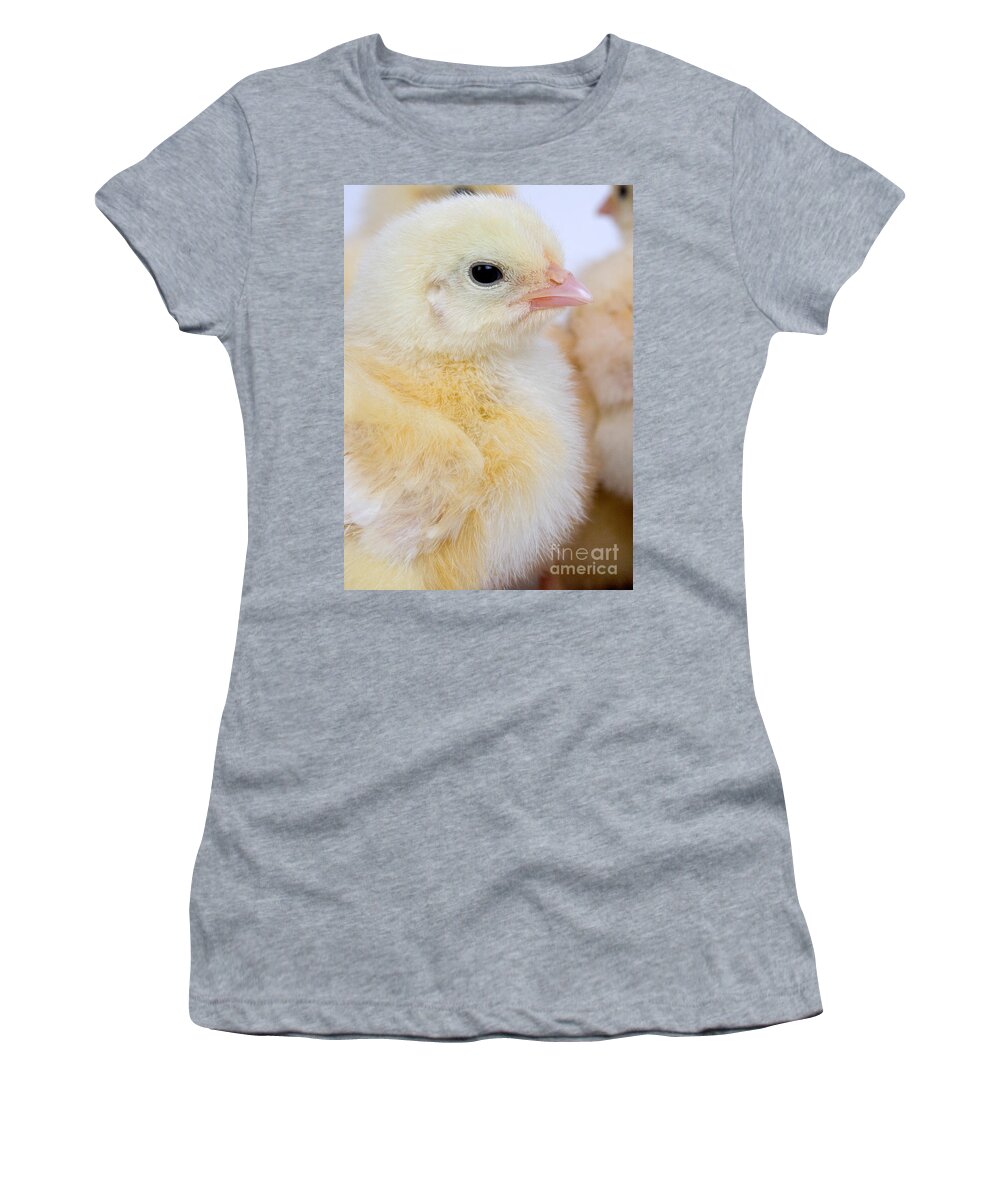 Chick Women's T-Shirt featuring the photograph Portrait Of Chick #1 by Gerard Lacz