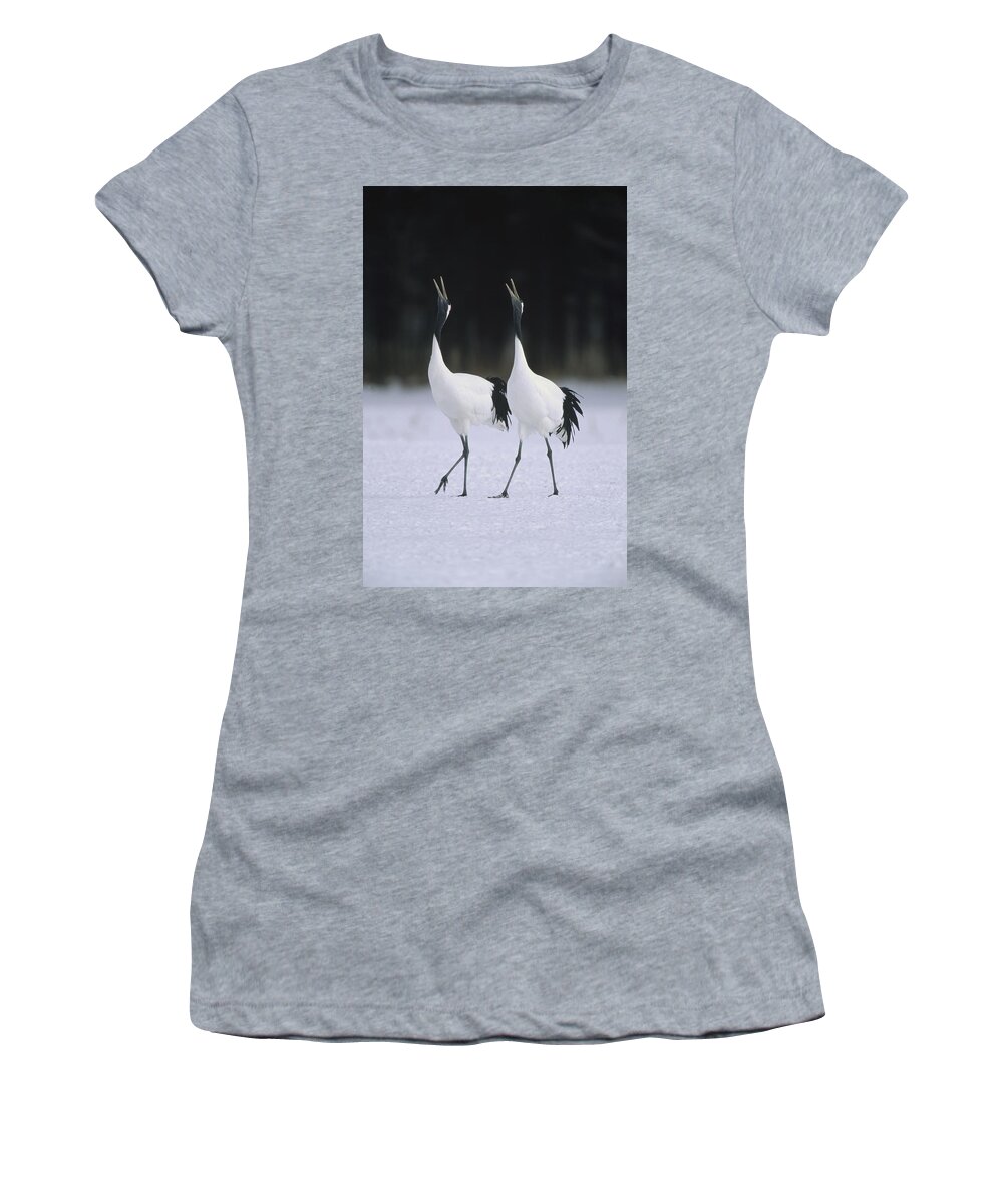 00190826 Women's T-Shirt featuring the photograph Red-crowned Crane Grus Japonensis Pair by Konrad Wothe
