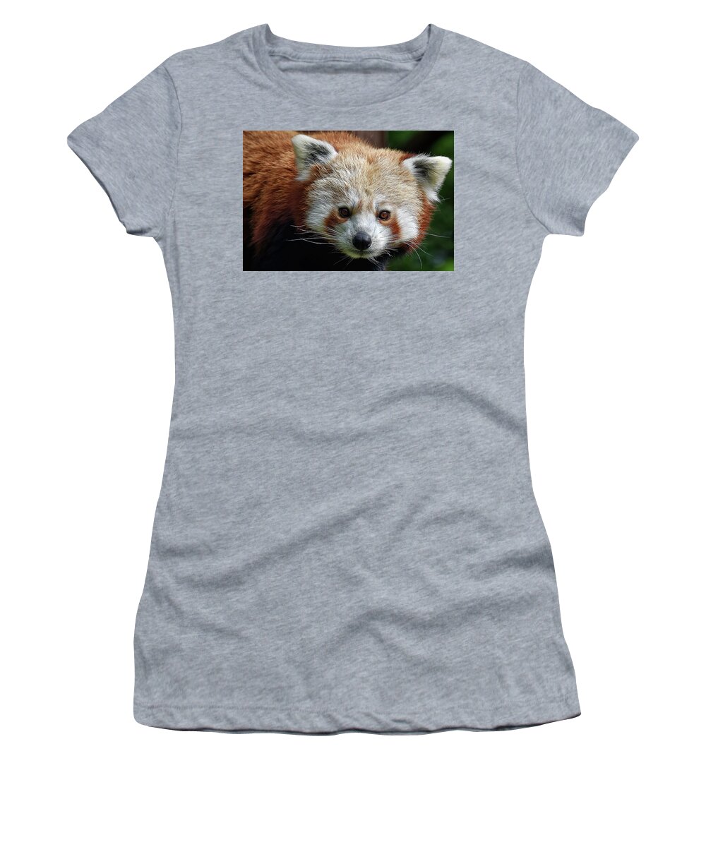 Red Women's T-Shirt featuring the photograph Red Panda #1 by Kuni Photography