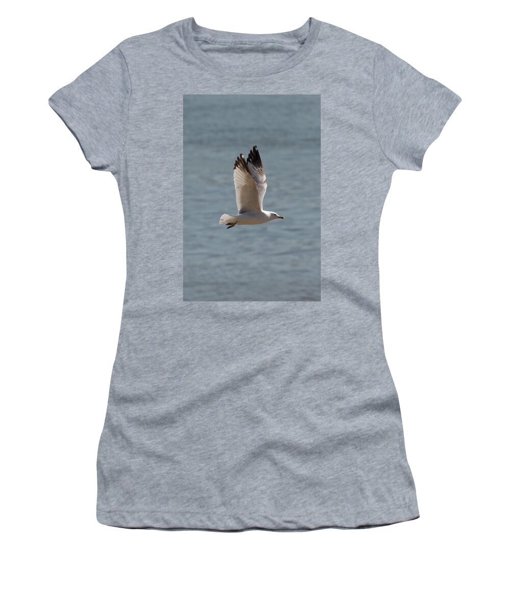Ring Billed Gull Women's T-Shirt featuring the photograph Ring-Billed Gull by Holden The Moment