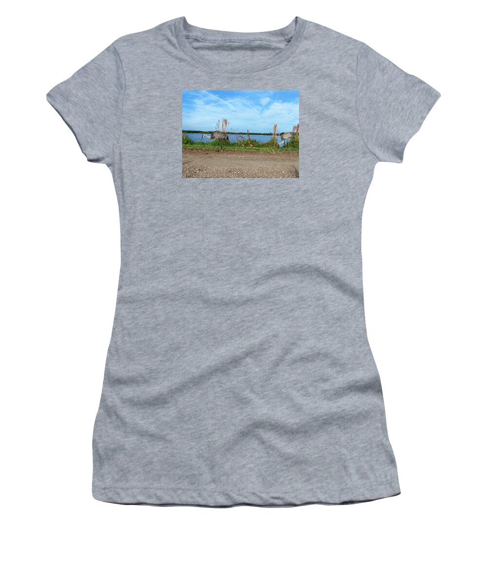 Parks And Preserves Women's T-Shirt featuring the photograph Sandhill Crane Family #1 by Christopher Mercer