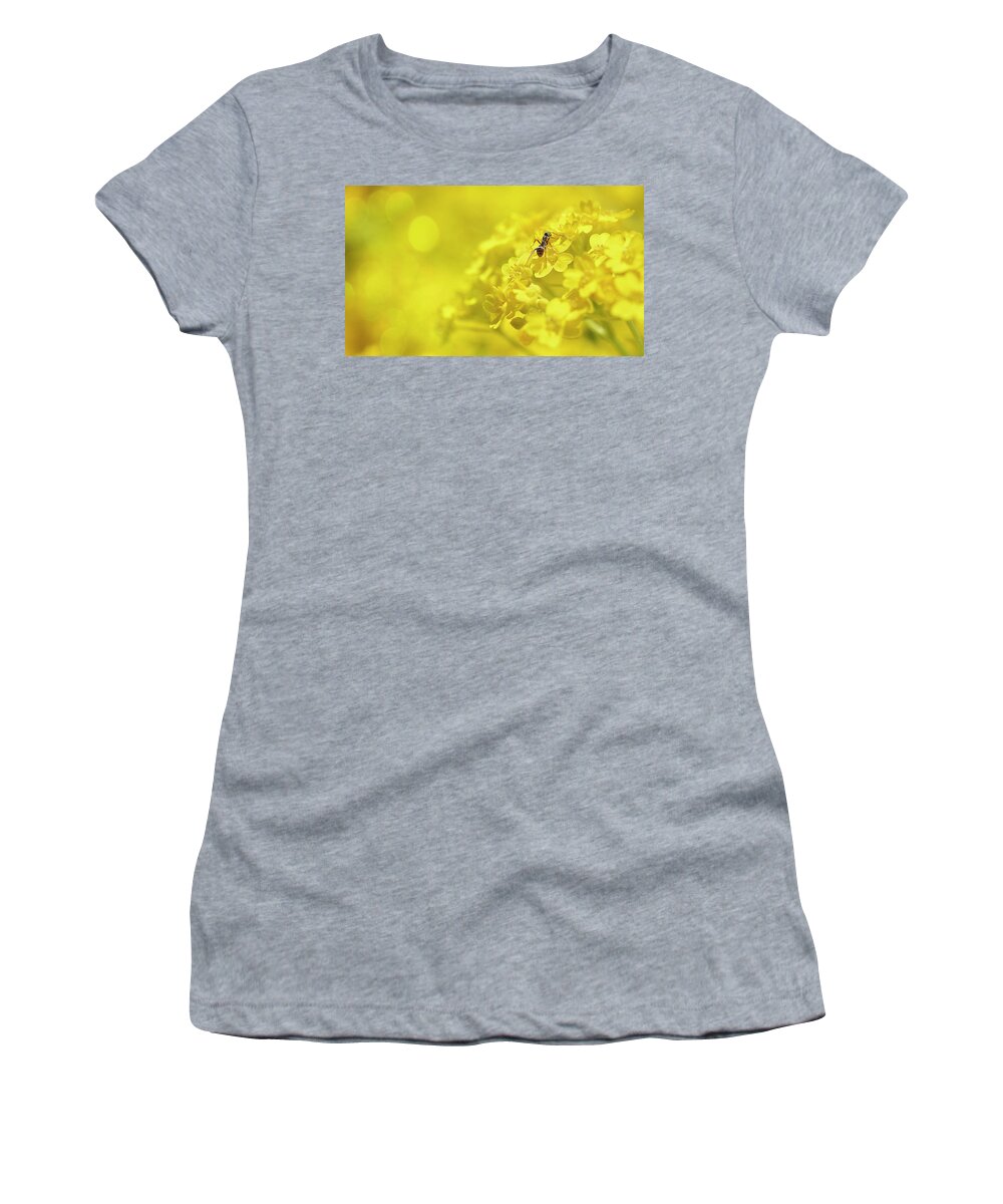 Sunny Women's T-Shirt featuring the photograph Set The Controls For The Heart Of The Sun #1 by John Poon