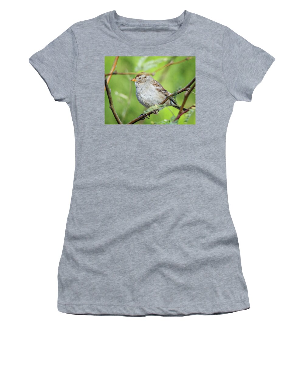 Sparrow Women's T-Shirt featuring the photograph Sparrow #1 by Tam Ryan