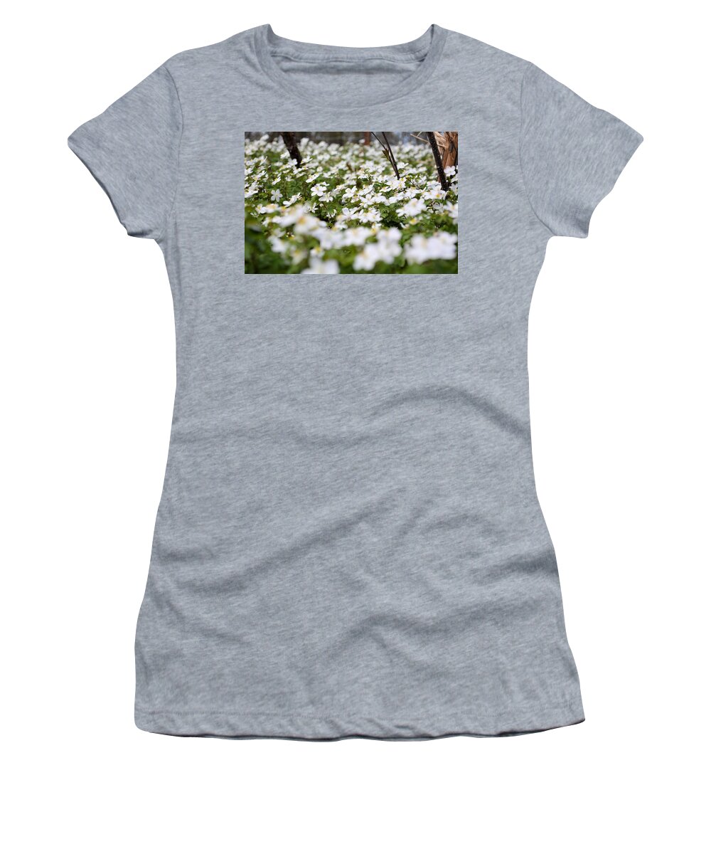 Blossoms Women's T-Shirt featuring the photograph Spring Blossoms #1 by Bonfire Photography