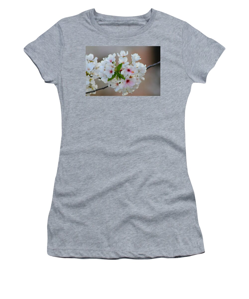 Tree Women's T-Shirt featuring the photograph Springtime Bliss #1 by Karen Wagner
