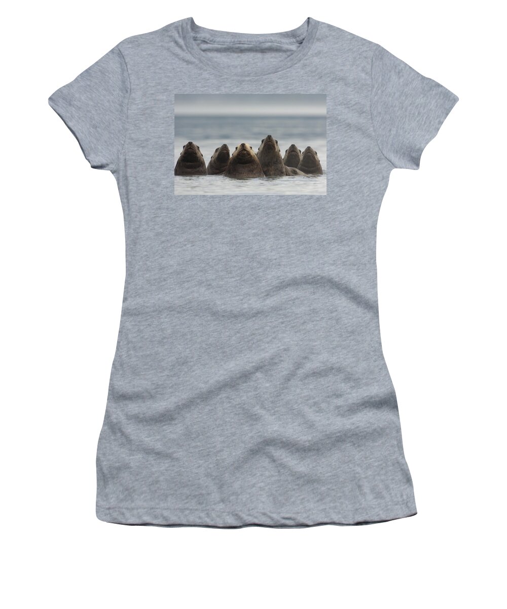 Mp Women's T-Shirt featuring the photograph Stellers Sea Lion Eumetopias Jubatus #1 by Michael Quinton