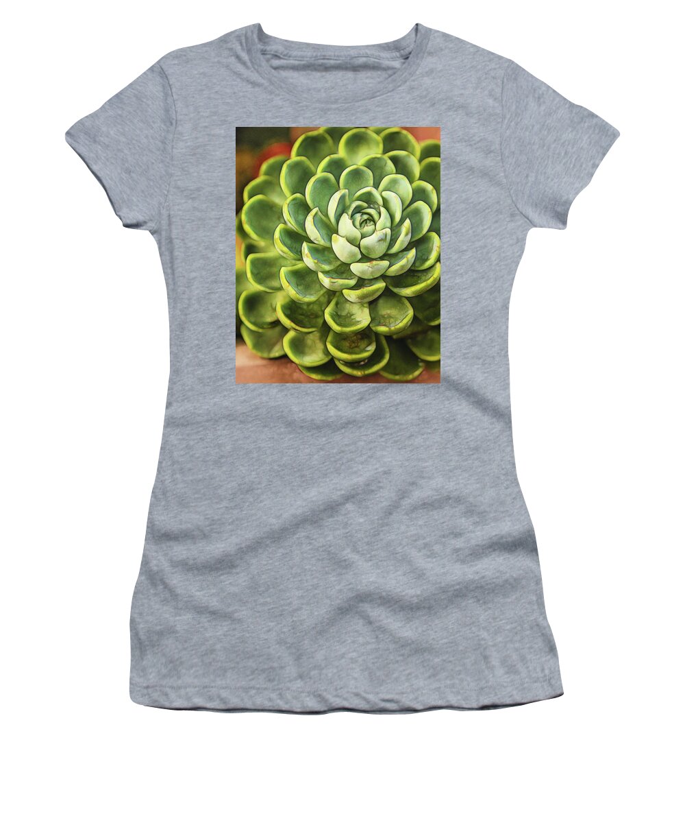Succulent Women's T-Shirt featuring the photograph Succulent by Jaki Miller