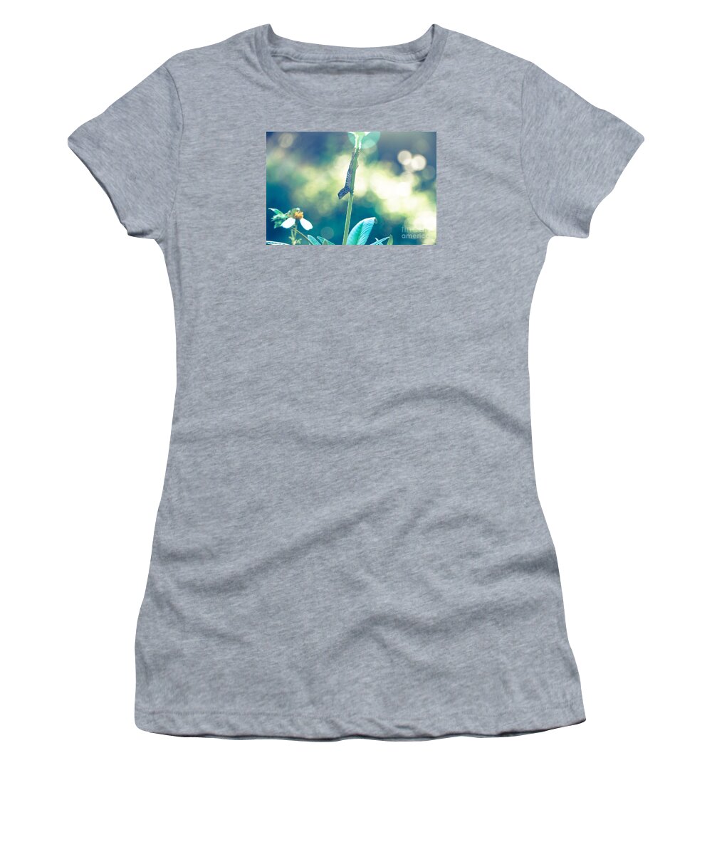 Animal Women's T-Shirt featuring the photograph Suspended headlong lizard #1 by Amanda Mohler