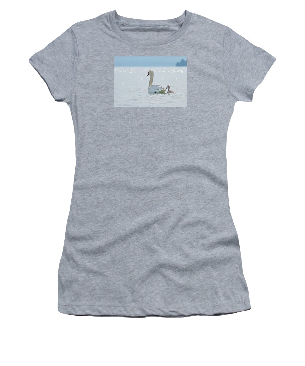 Water Women's T-Shirt featuring the photograph Swan and baby #1 by Elenarts - Elena Duvernay photo
