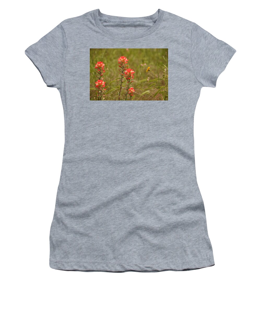 Texas Hill Country Women's T-Shirt featuring the photograph Texas Paintbrush by Frank Madia