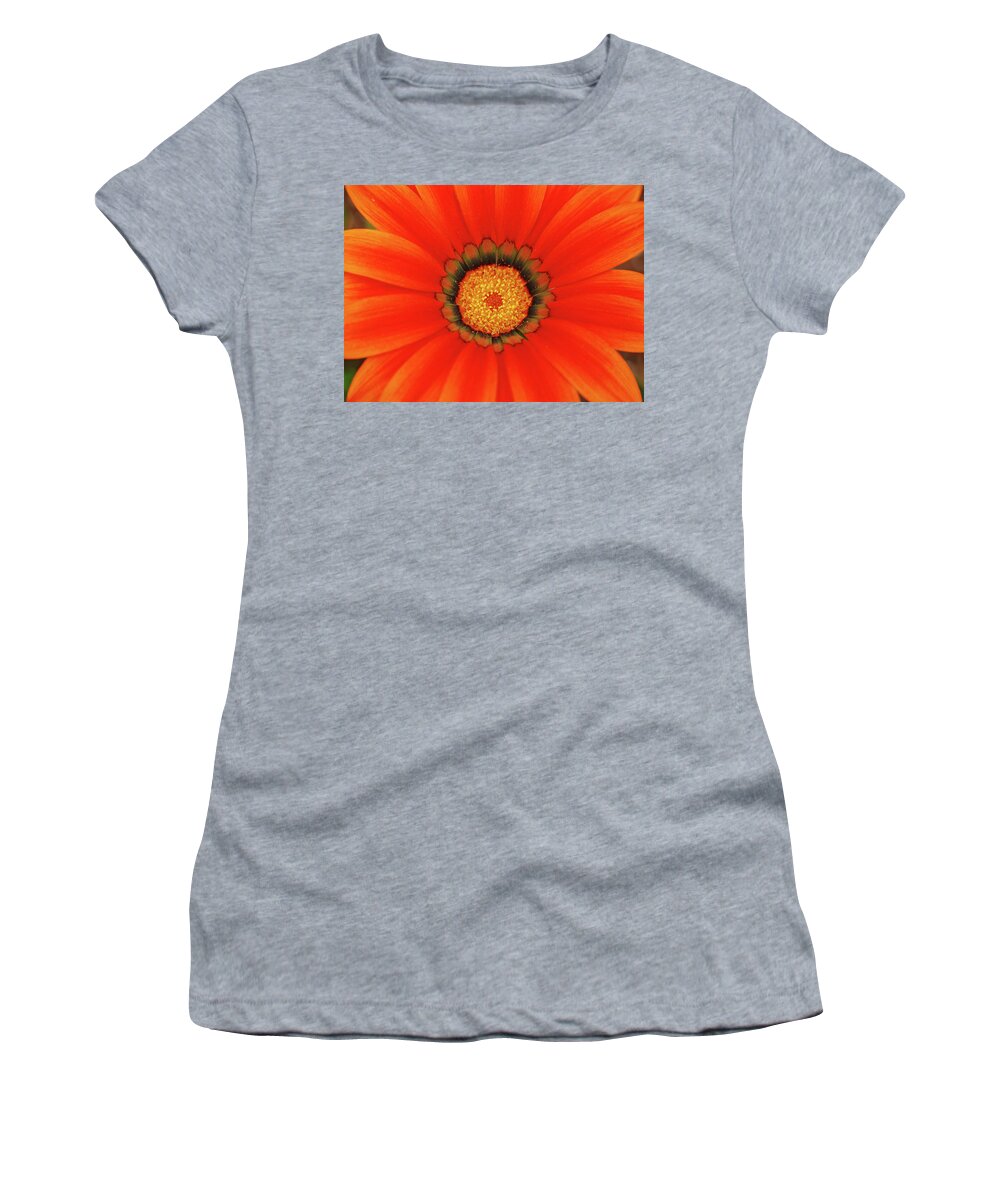 Daisy Women's T-Shirt featuring the photograph The Beauty of Orange #1 by Lori Tambakis