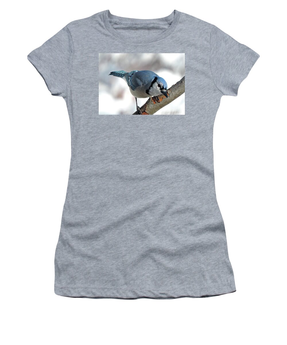 Bird Women's T-Shirt featuring the photograph The Blue Jay #1 by Mim White