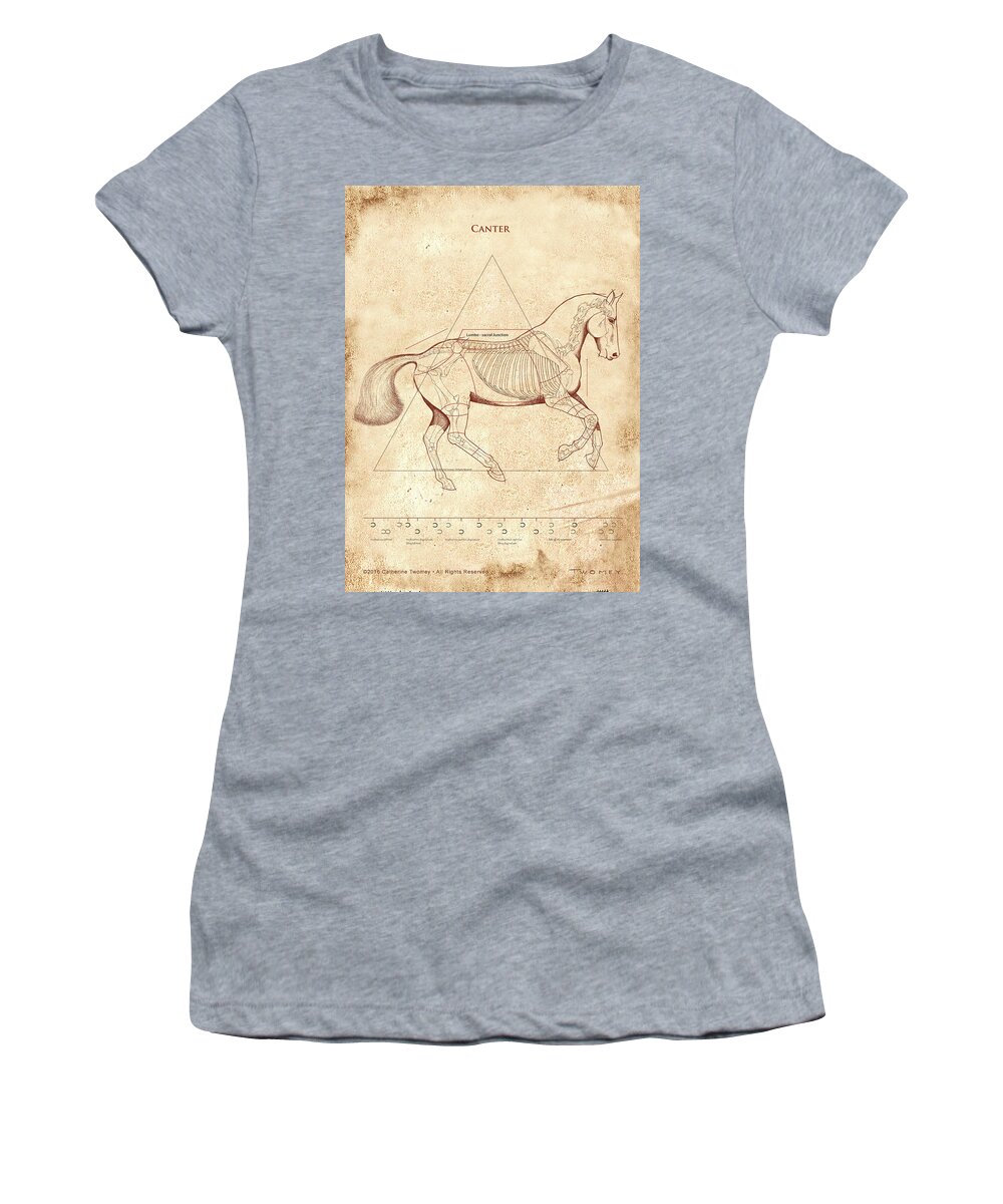 Horse Women's T-Shirt featuring the painting The Horse's Canter Revealed #1 by Catherine Twomey