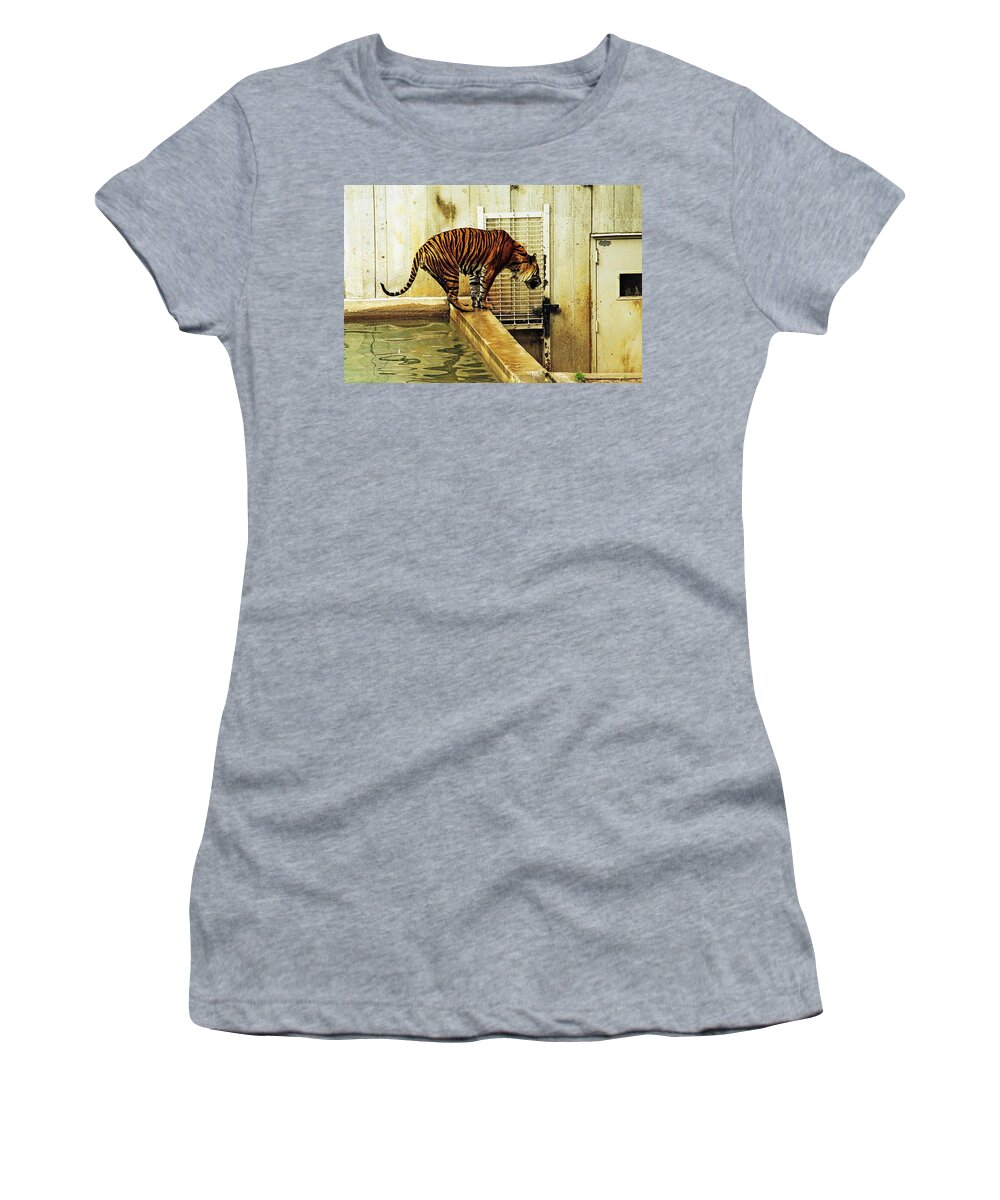 Tigers Women's T-Shirt featuring the photograph Tiger #1 by Karl Rose