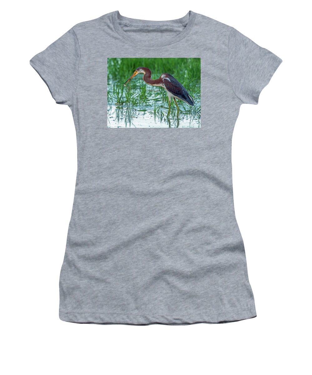 Tricolored Women's T-Shirt featuring the photograph Tricolored Heron with Fish #1 by Tam Ryan