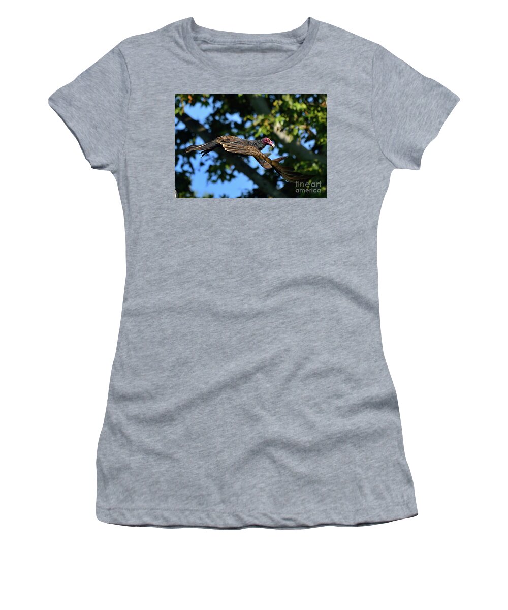 Bird Women's T-Shirt featuring the photograph Turkey Vulture #1 by Marc Bittan