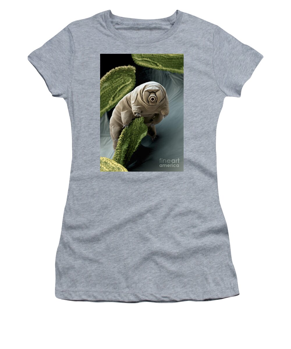 Paramacrobiotus Craterlaki Women's T-Shirt featuring the photograph Water Bear Or Tardigrade by Eye of Science