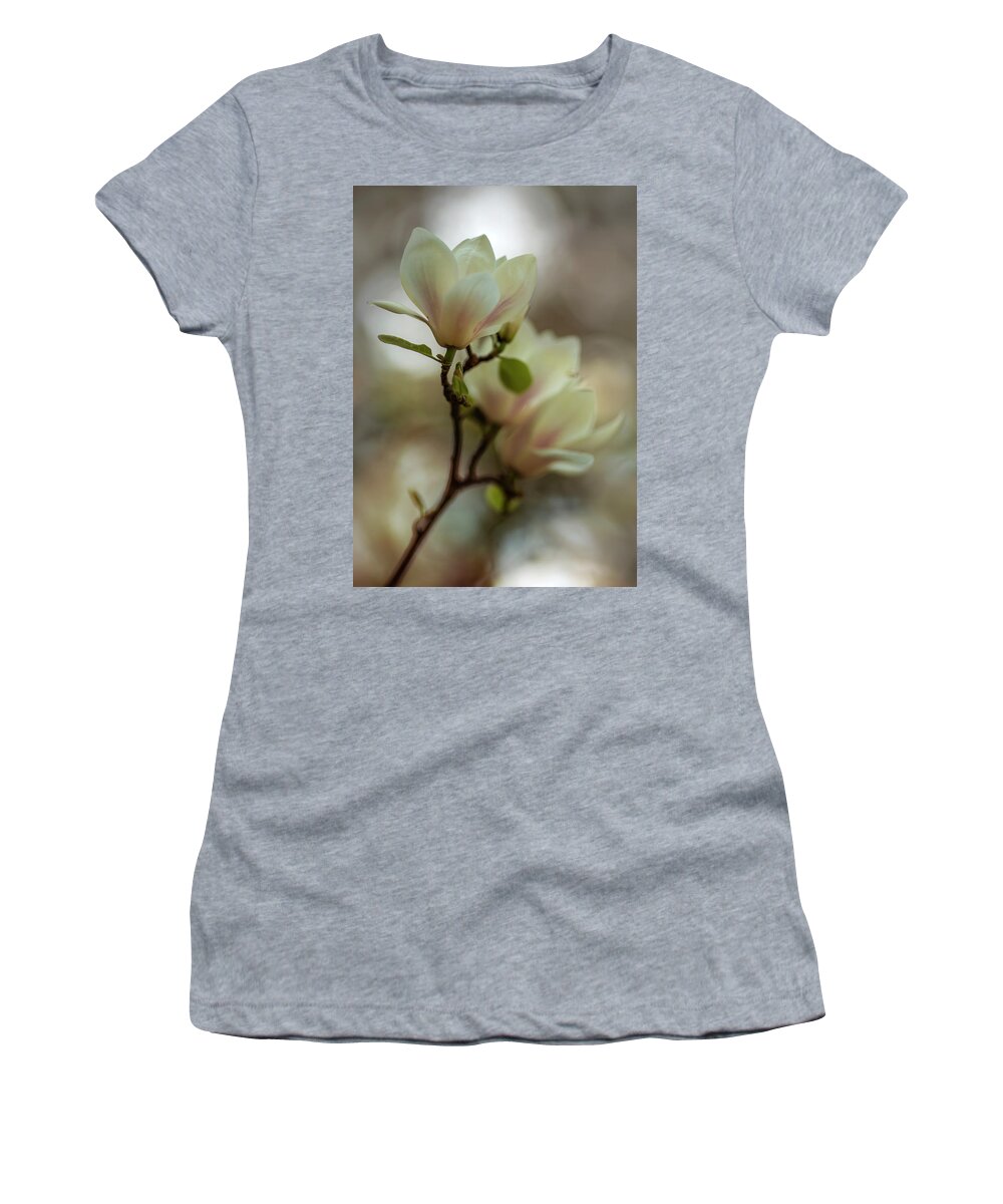 Magnolia Women's T-Shirt featuring the photograph White magnolia #1 by Jaroslaw Blaminsky