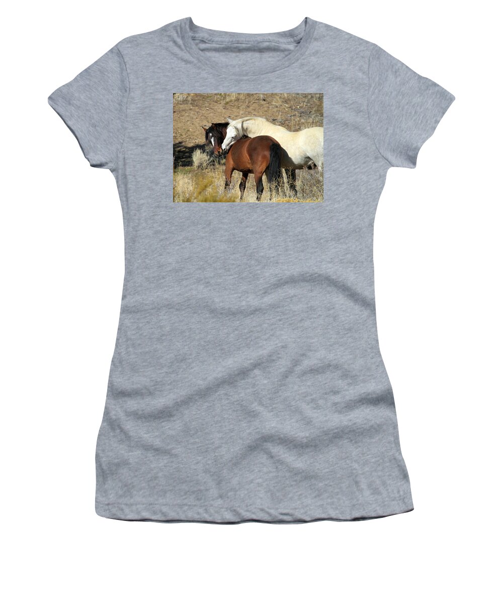 Horses Women's T-Shirt featuring the photograph Wild Mustang Horses by Waterdancer