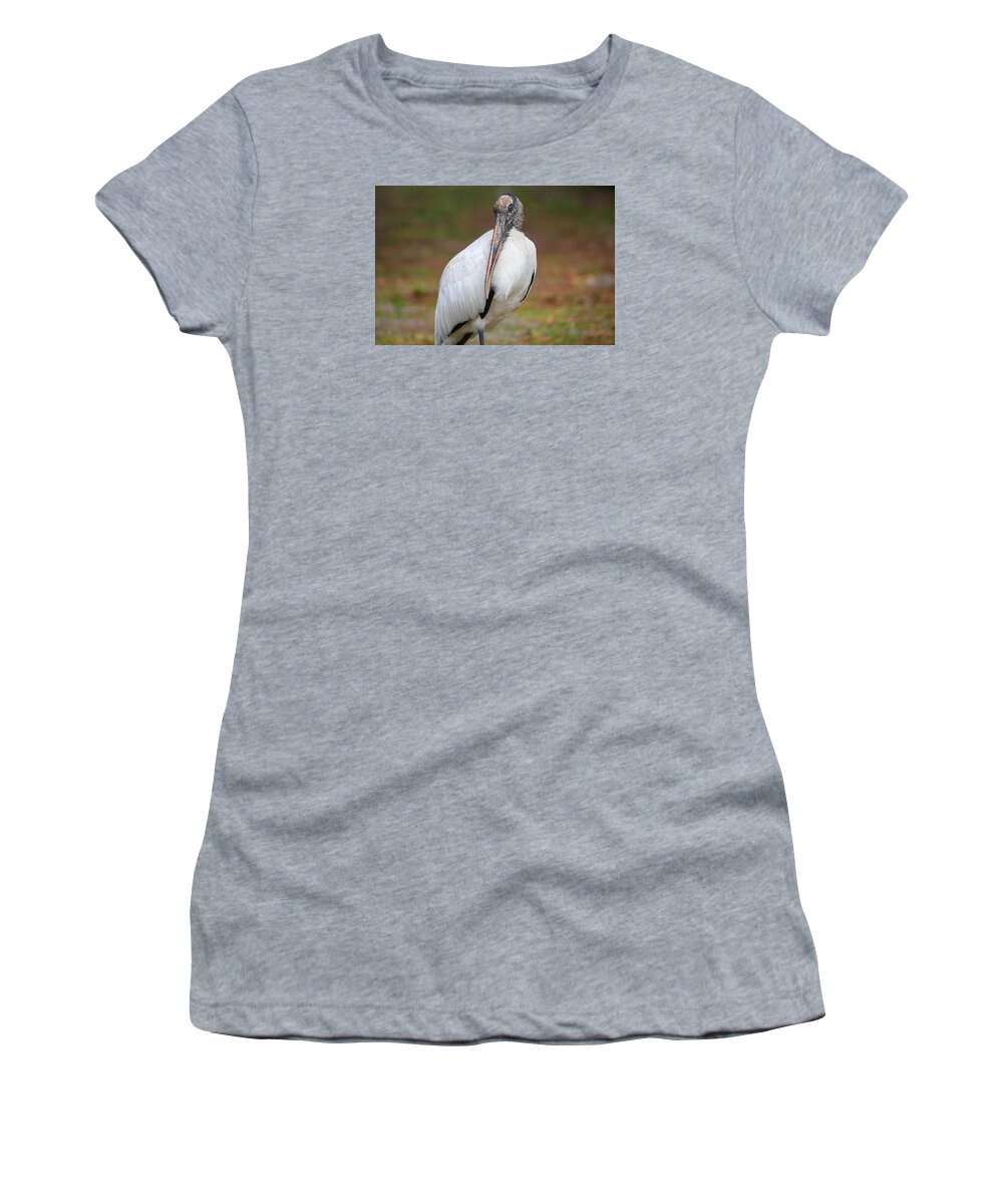 Wood Stork Women's T-Shirt featuring the photograph Wood Stork #1 by Dart Humeston