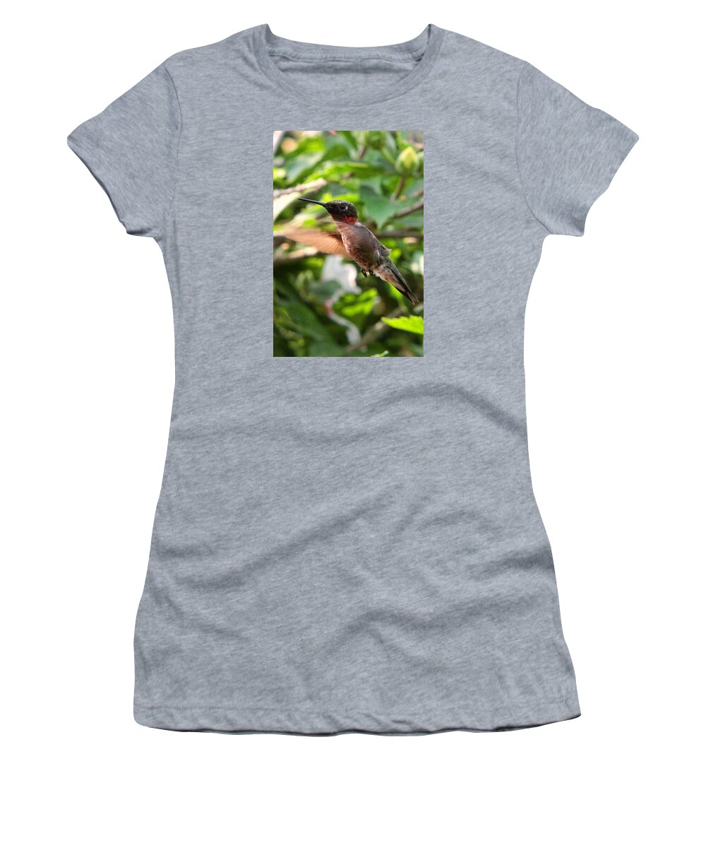 Hummingbirds Women's T-Shirt featuring the photograph Hummingbird #14 by John Freidenberg