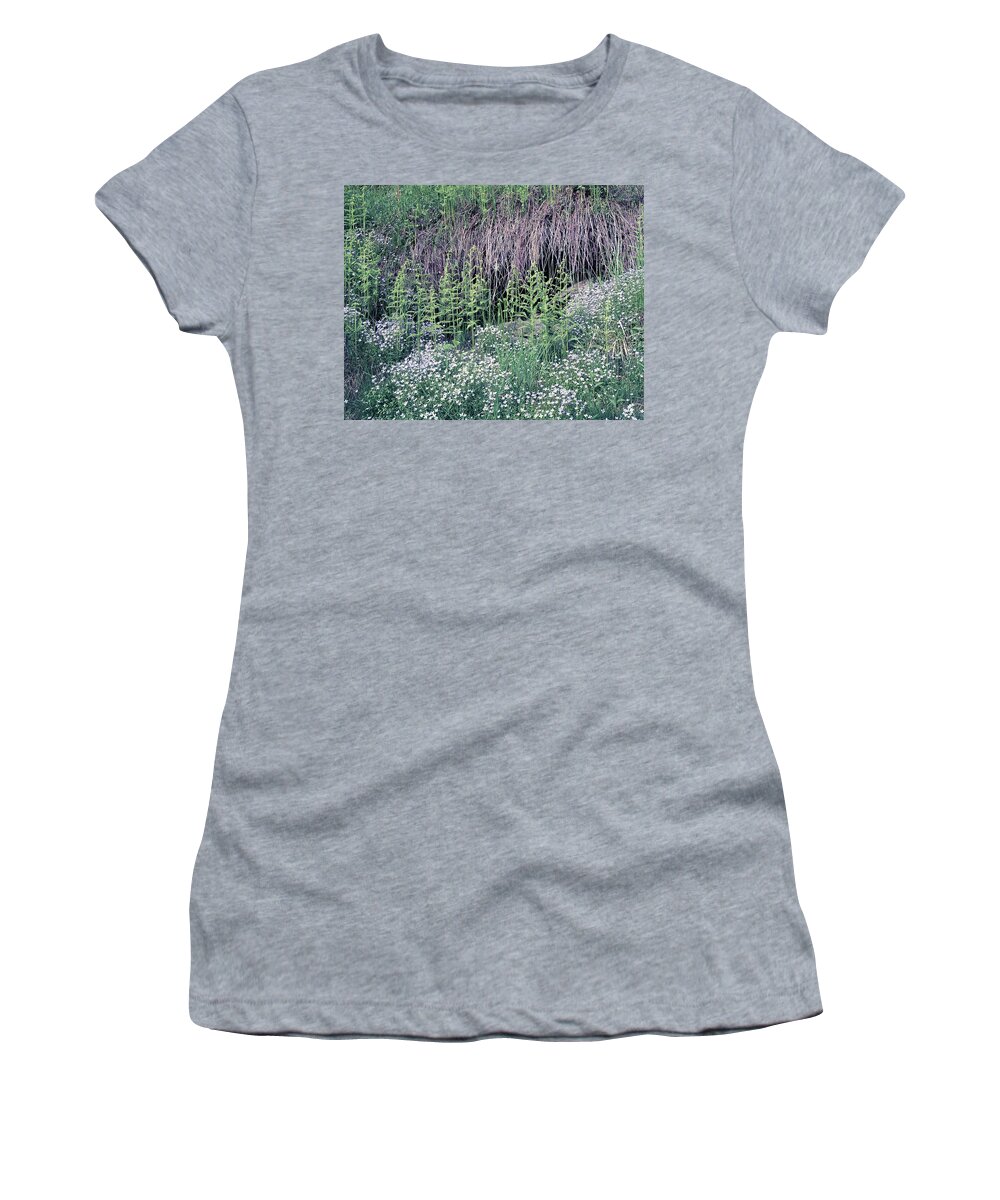 Bluets Women's T-Shirt featuring the photograph 146011 Bluets GSMNP by Ed Cooper Photography