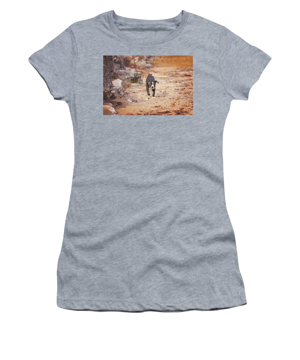 Adorable Women's T-Shirt featuring the photograph American Pitbull #15 by Peter Lakomy