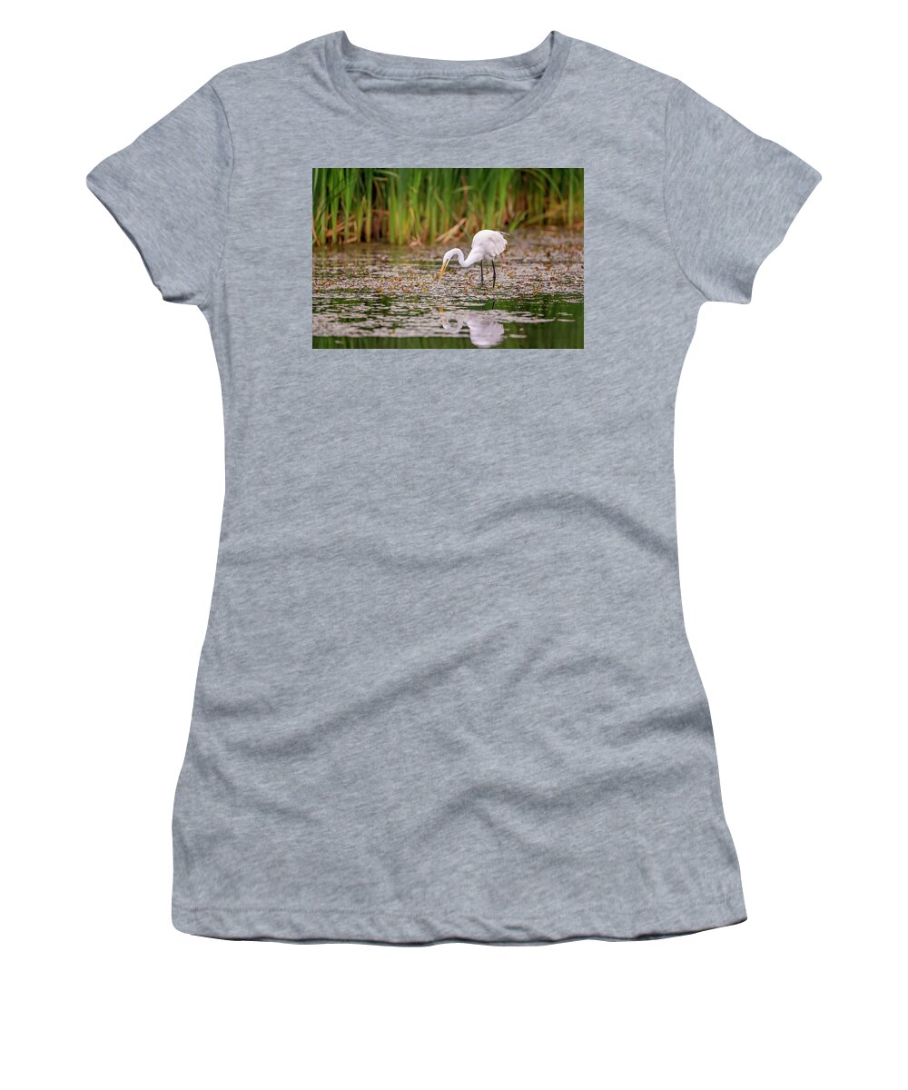 Animal Women's T-Shirt featuring the photograph White, Great Egret #15 by Peter Lakomy