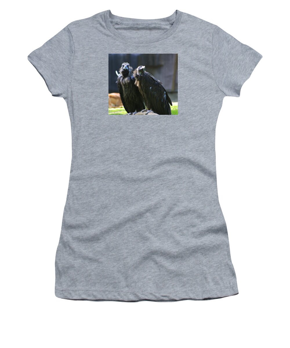 Zoo Women's T-Shirt featuring the photograph Zoo Scapes #15 by Jean Wolfrum
