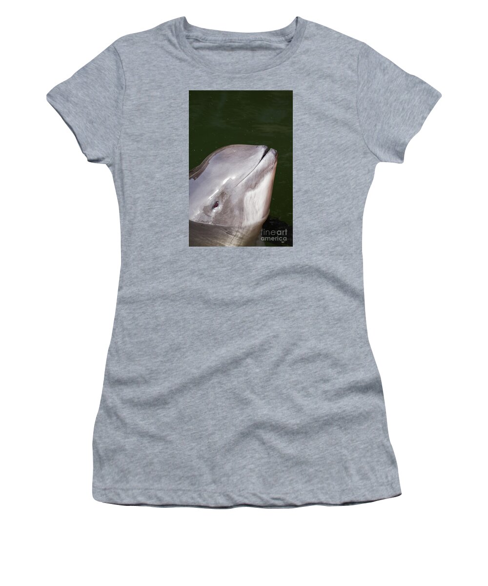 Harbour Porpoise Women's T-Shirt featuring the photograph 150501p238 by Arterra Picture Library