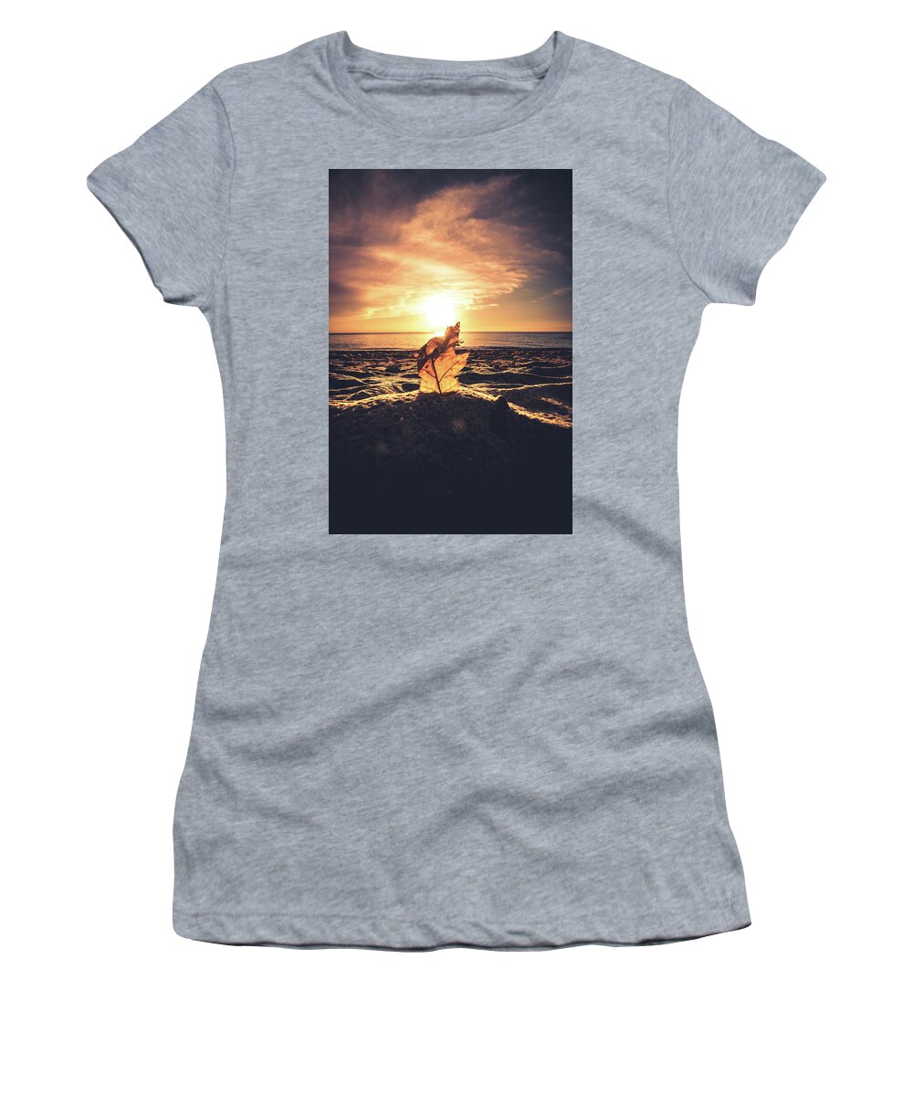 Hamburg Women's T-Shirt featuring the photograph Lake Erie Sunset #16 by Dave Niedbala