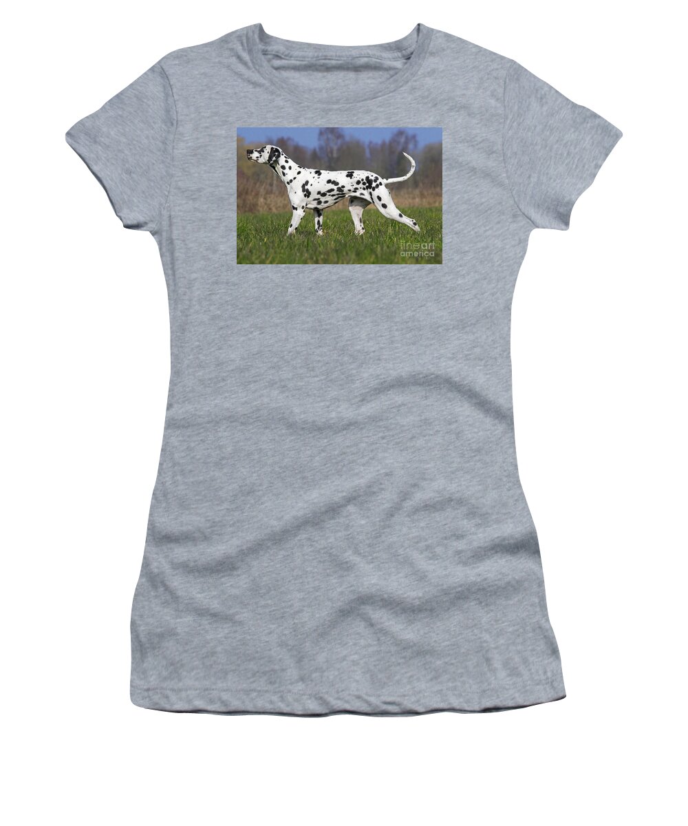 Dalmatian Women's T-Shirt featuring the photograph 160304p168 by Arterra Picture Library
