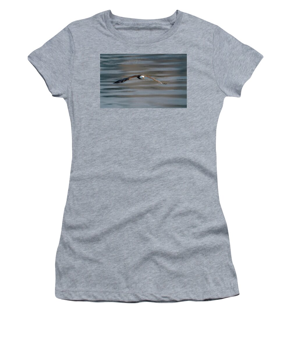 Illinois Women's T-Shirt featuring the photograph Bald Eagle by Peter Lakomy