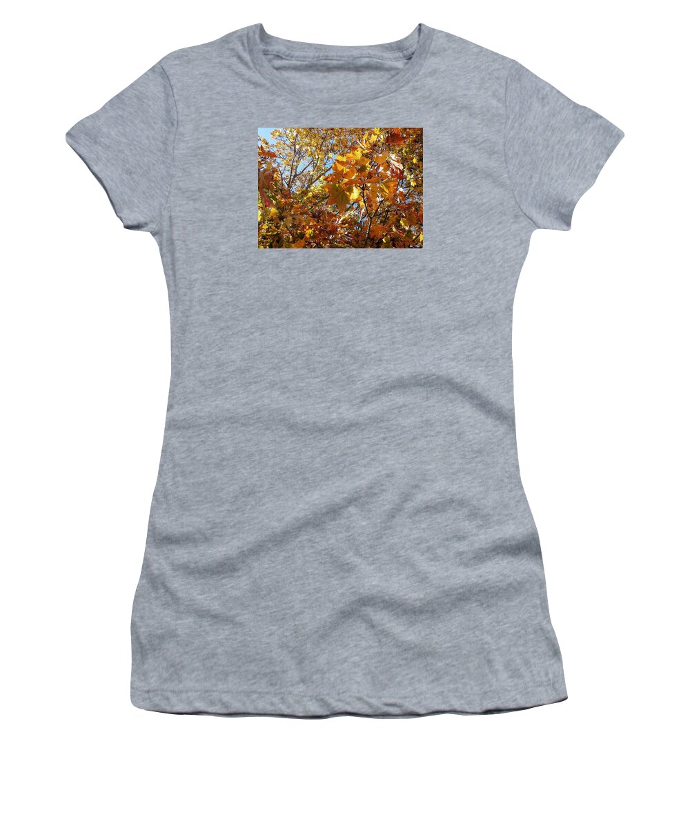 Leaves Women's T-Shirt featuring the photograph Autumn Leaves #2 by Wolfgang Schweizer