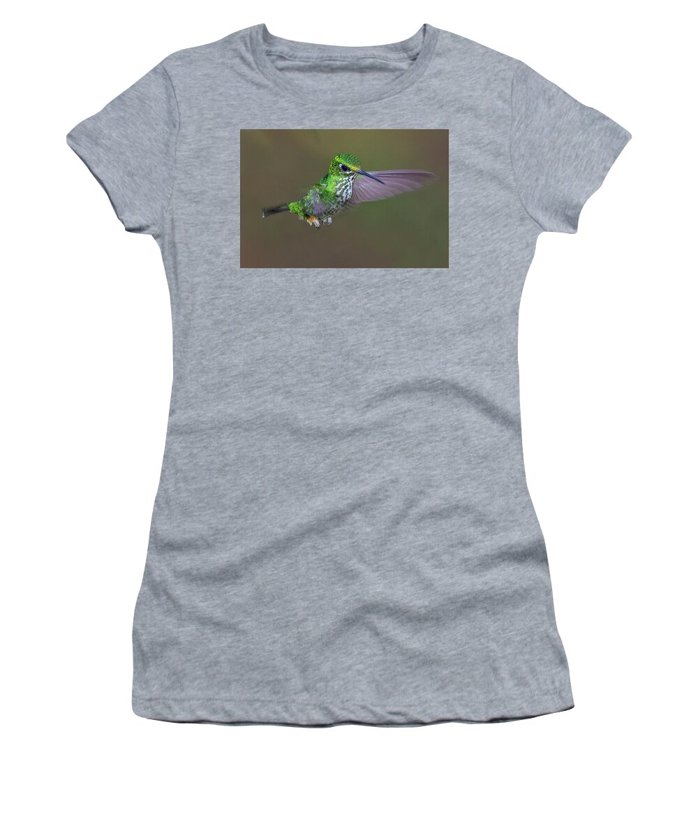 2015 Women's T-Shirt featuring the photograph Booted Racket-tail #1 by Jean-Luc Baron
