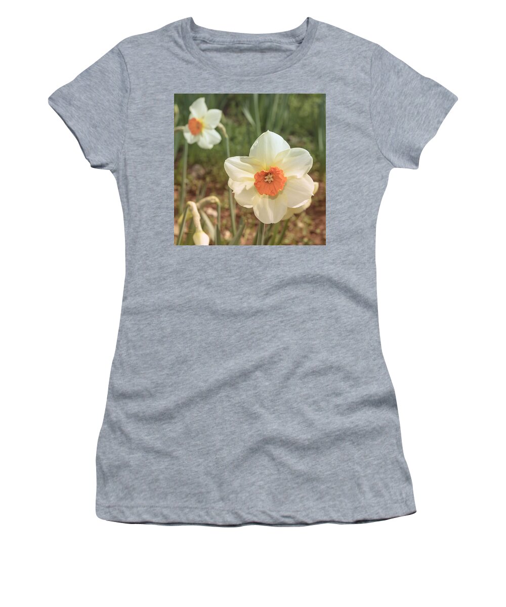 Amador County Women's T-Shirt featuring the photograph Daffodil #2 by Jim Thompson