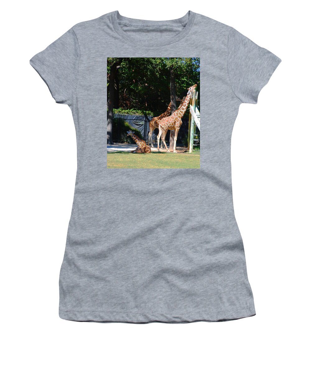Ft. Worth Women's T-Shirt featuring the photograph Easy Sunday Afternoon #2 by Kenny Glover