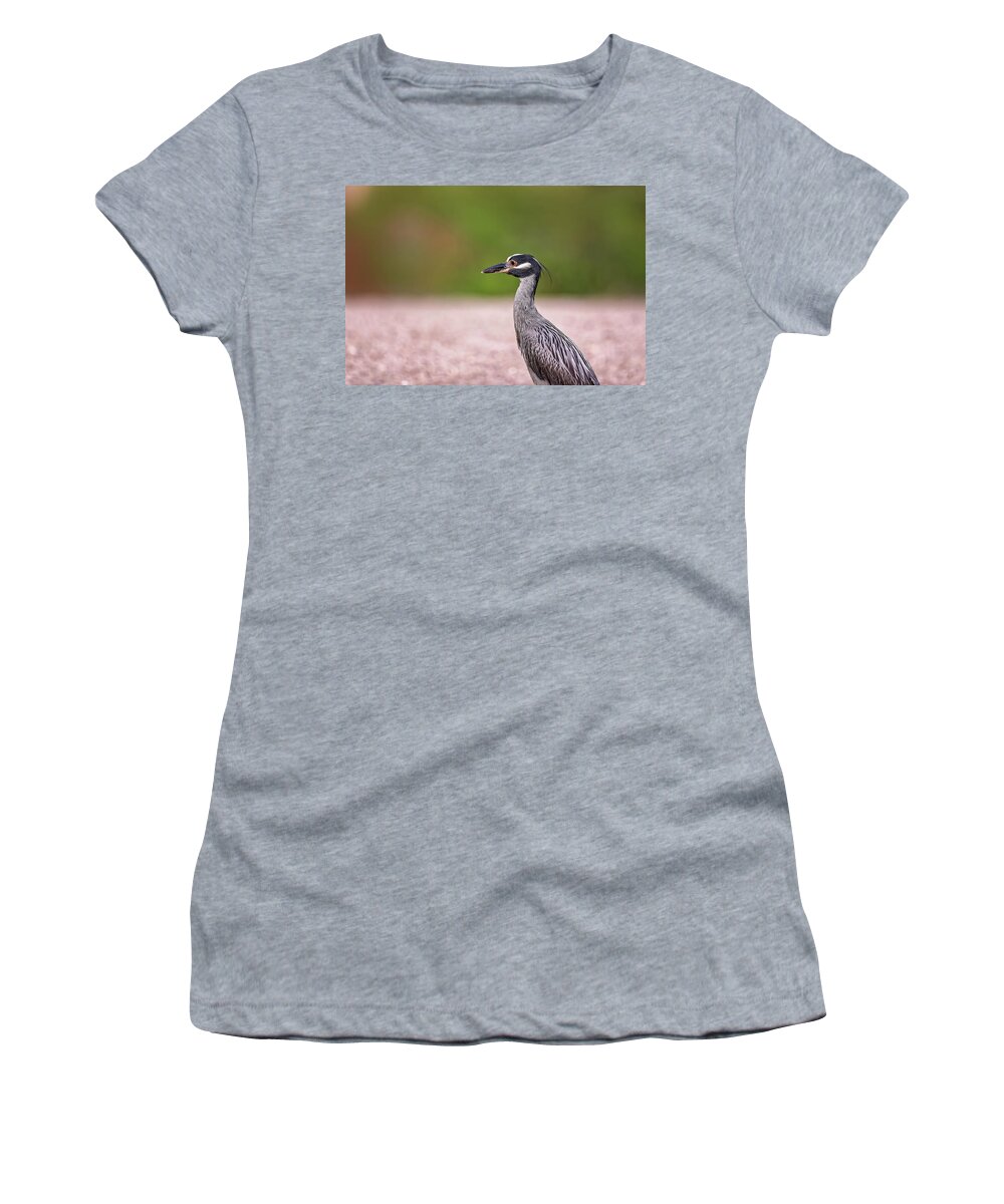 Animal Women's T-Shirt featuring the photograph Green Heron by Peter Lakomy