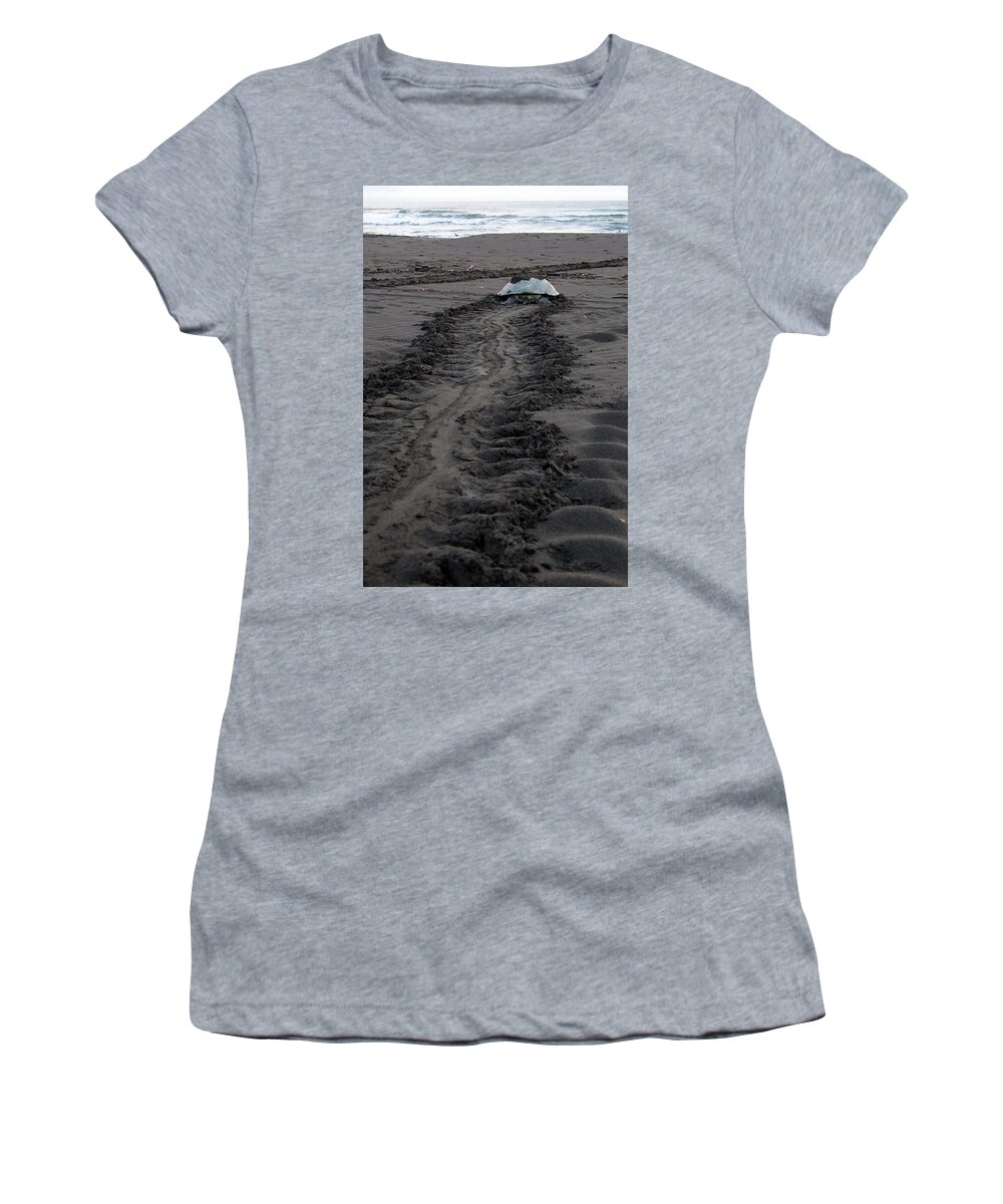 Green Sea Turtle Women's T-Shirt featuring the photograph Green Sea Turtle returning to sea #2 by Breck Bartholomew