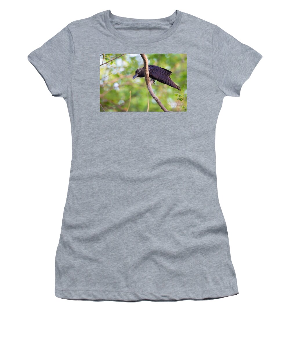 Indian Jungle Crow Women's T-Shirt featuring the photograph Indian Jungle Crow #2 by B. G. Thomson