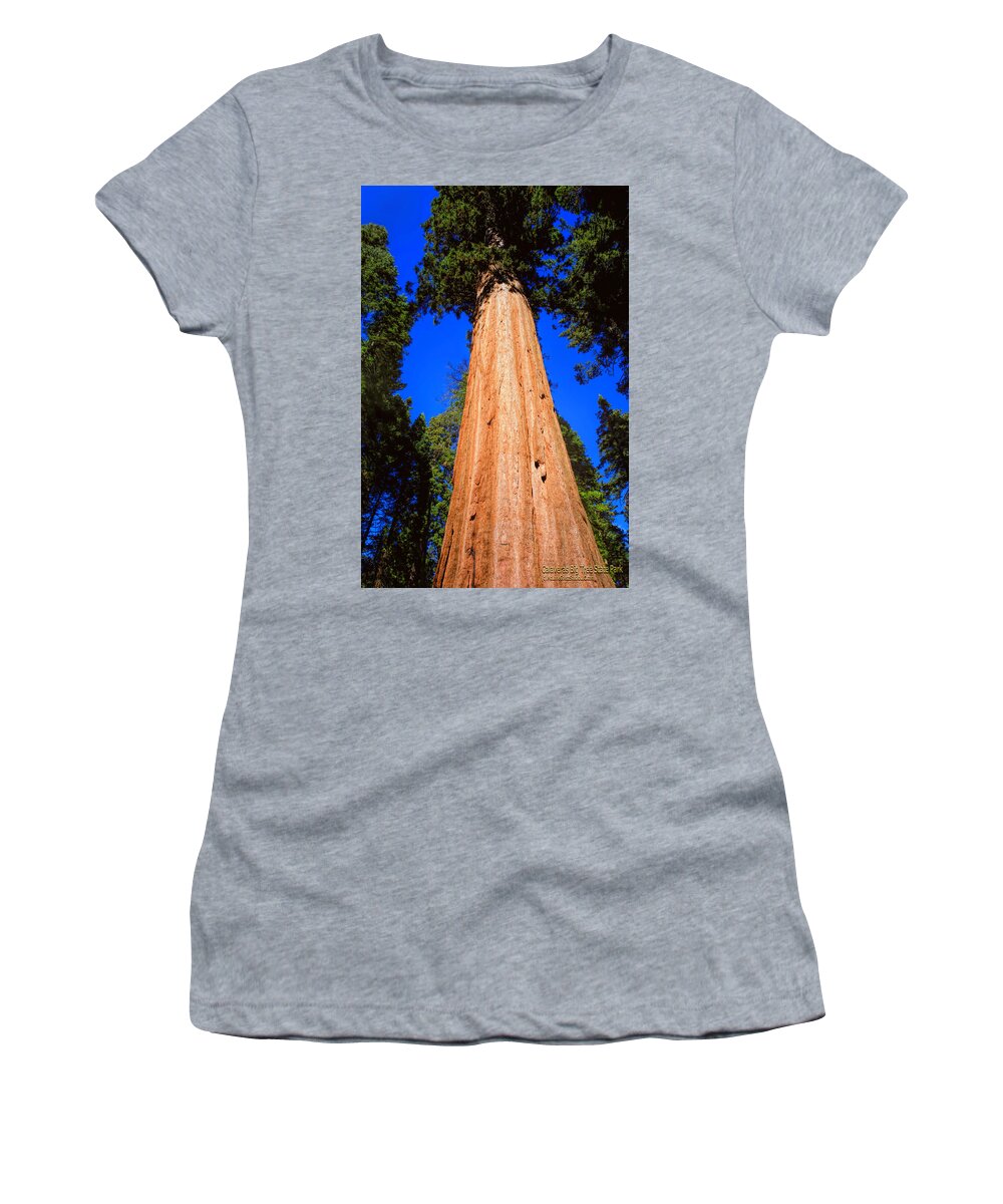 Calaveras Big Trees Women's T-Shirt featuring the photograph Giant Sequoia Trees III by LeeAnn McLaneGoetz McLaneGoetzStudioLLCcom