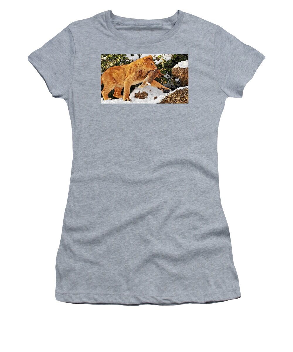 Lion Women's T-Shirt featuring the photograph Lion #2 by Mariel Mcmeeking
