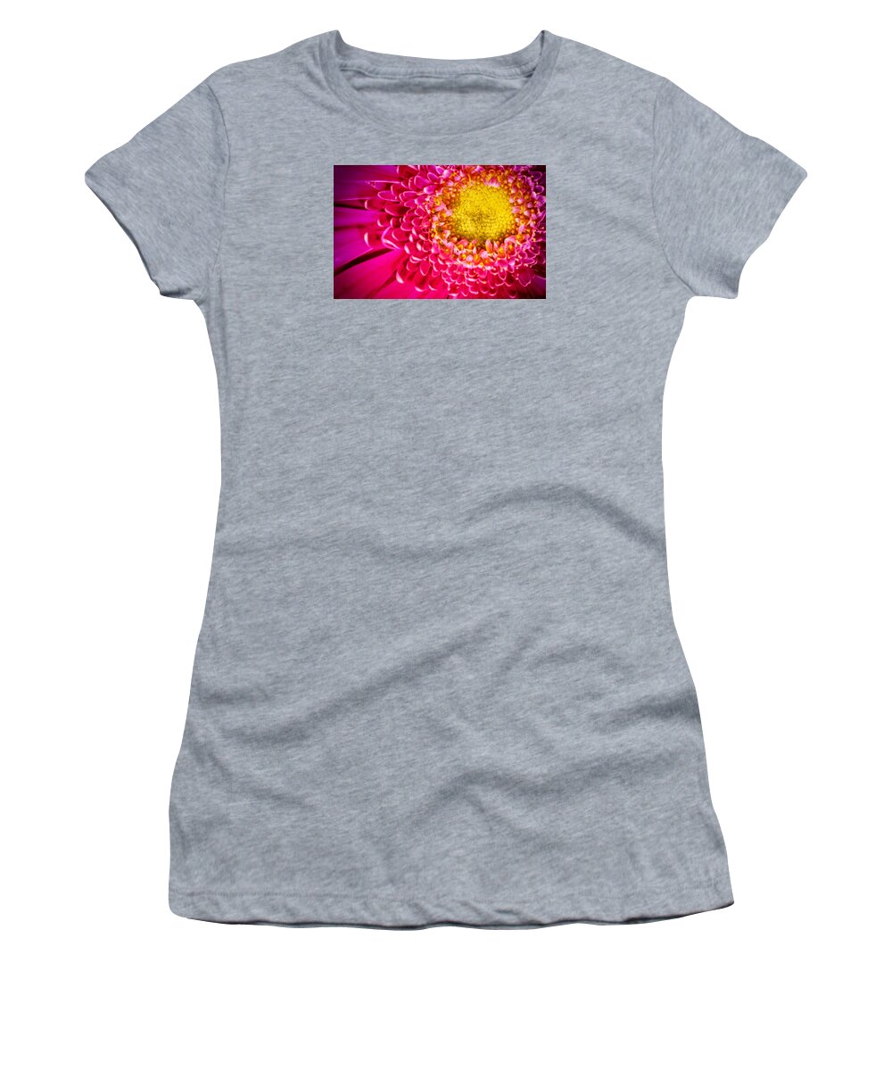 Abstract Women's T-Shirt featuring the photograph Macro Close-up of a Pink Chrysanthemum Flower #2 by John Williams