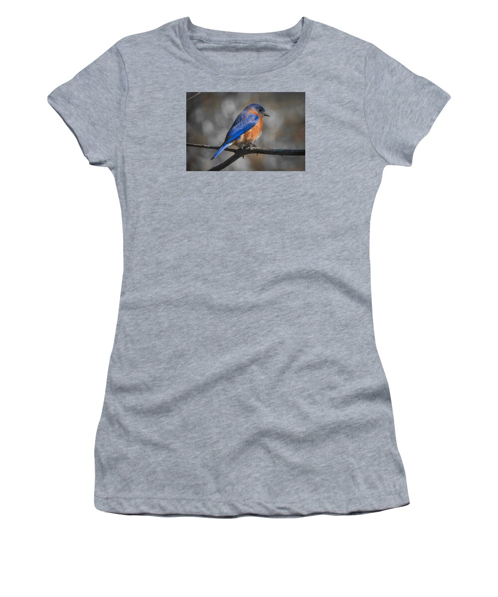 Bluebird Women's T-Shirt featuring the photograph Male Eastern Bluebird #2 by Robert L Jackson