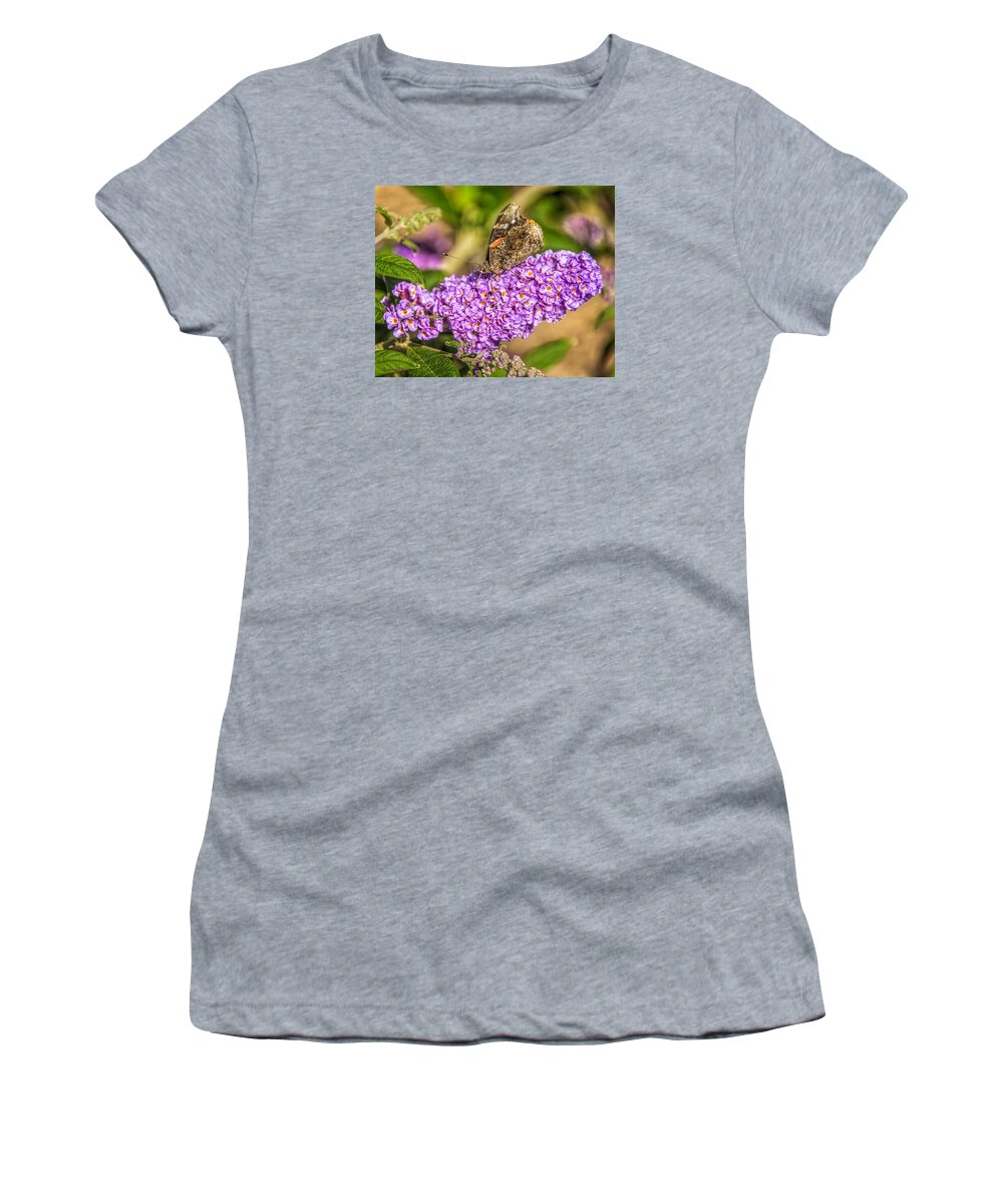 Painted Lady Women's T-Shirt featuring the photograph Painted Lady Butterfly #2 by LeeAnn McLaneGoetz McLaneGoetzStudioLLCcom